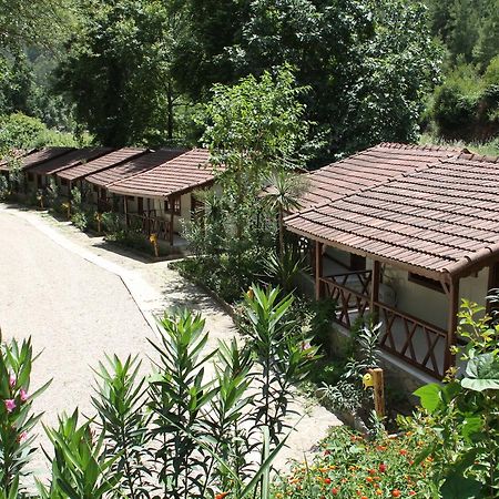 Eco Family Park Hotel Beskonak Zewnętrze zdjęcie