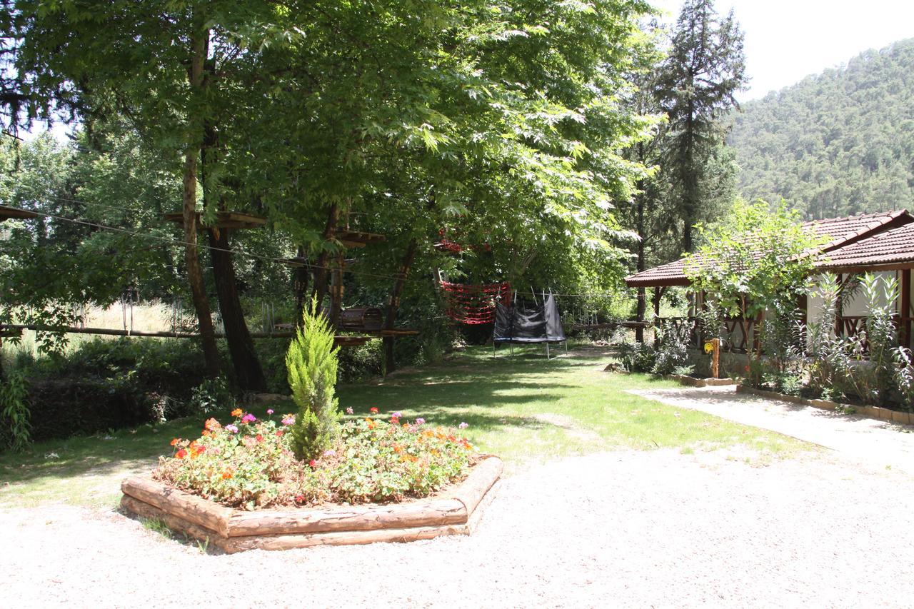 Eco Family Park Hotel Beskonak Zewnętrze zdjęcie