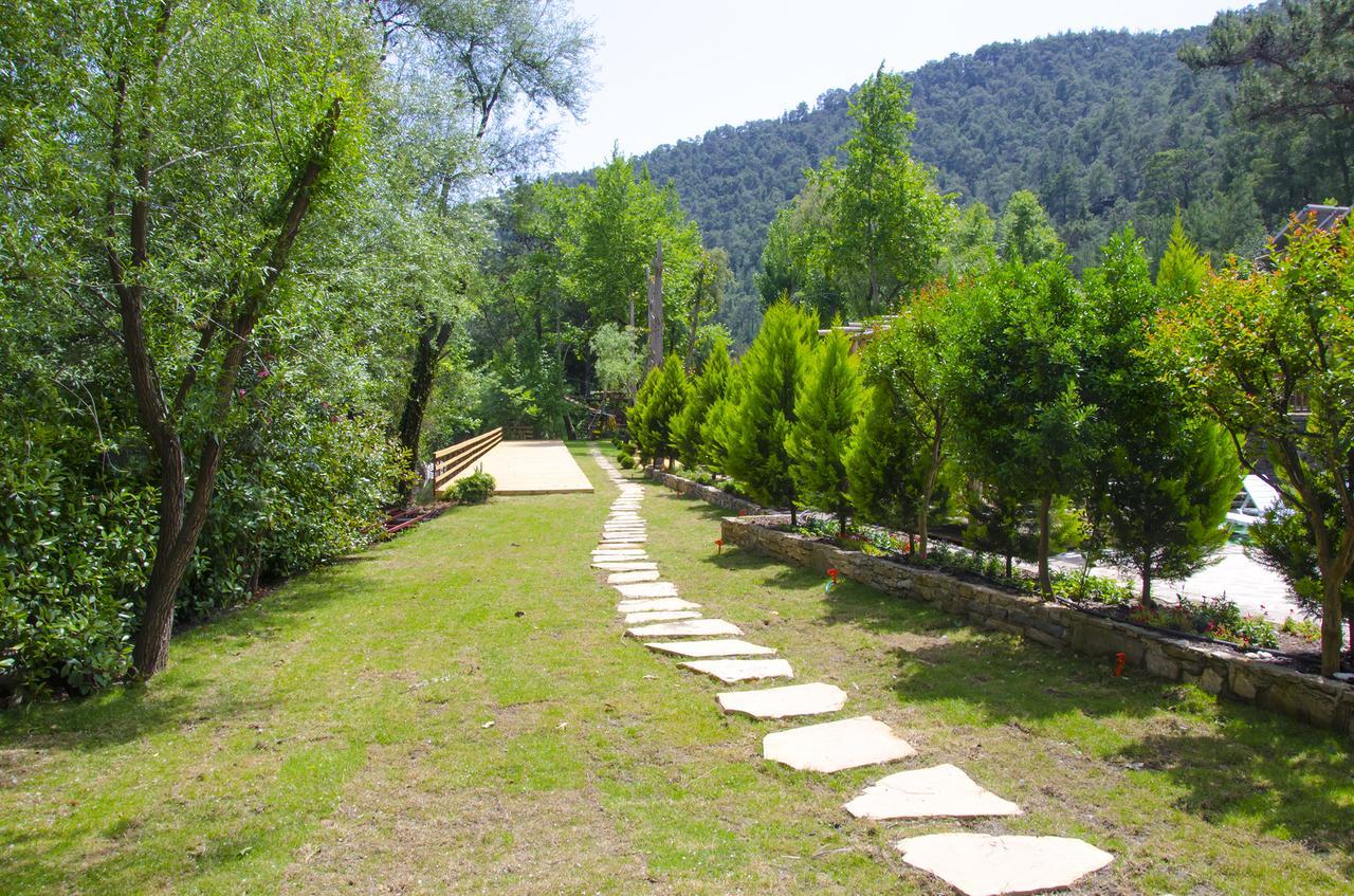 Eco Family Park Hotel Beskonak Zewnętrze zdjęcie
