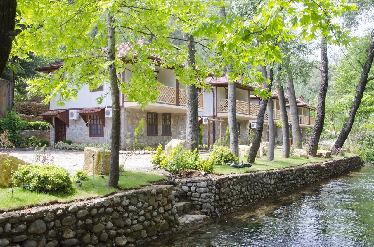 Eco Family Park Hotel Beskonak Zewnętrze zdjęcie